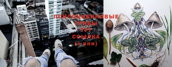 прущий лед Алексеевка