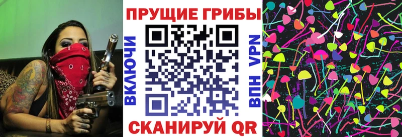 дарнет шоп Железноводск Галлюциногенные грибы Magic Shrooms